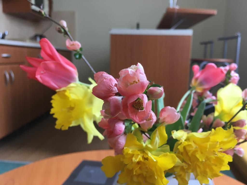Apartman Darmon بييشتِني المظهر الخارجي الصورة